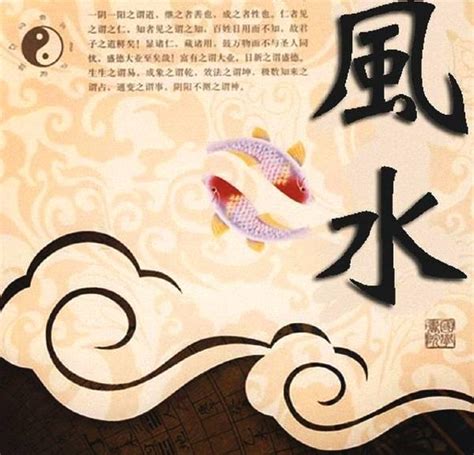 魚缸可以放財位嗎|誰説財位可放魚缸？專家解密